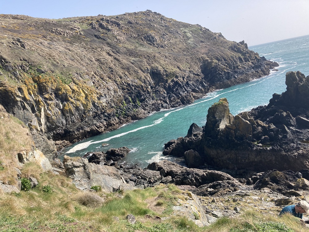 Lichen zonation along a rocky shore (Beagle's Point, Cornwall) © April Windle