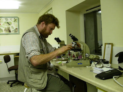 Microscope work - Joe Hope, SNH Anacaun 2004