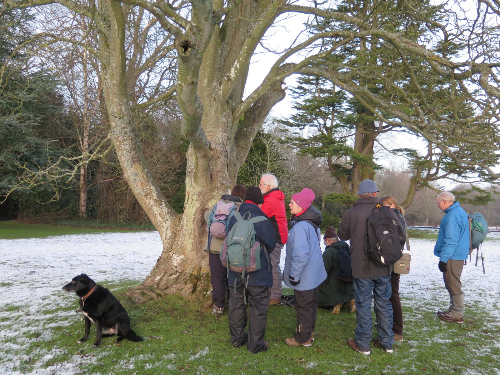 BLS meeting at Wallington Hall Jan 2016