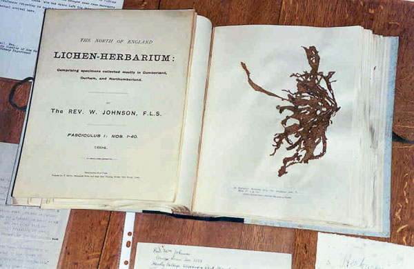 BLS Herbaria