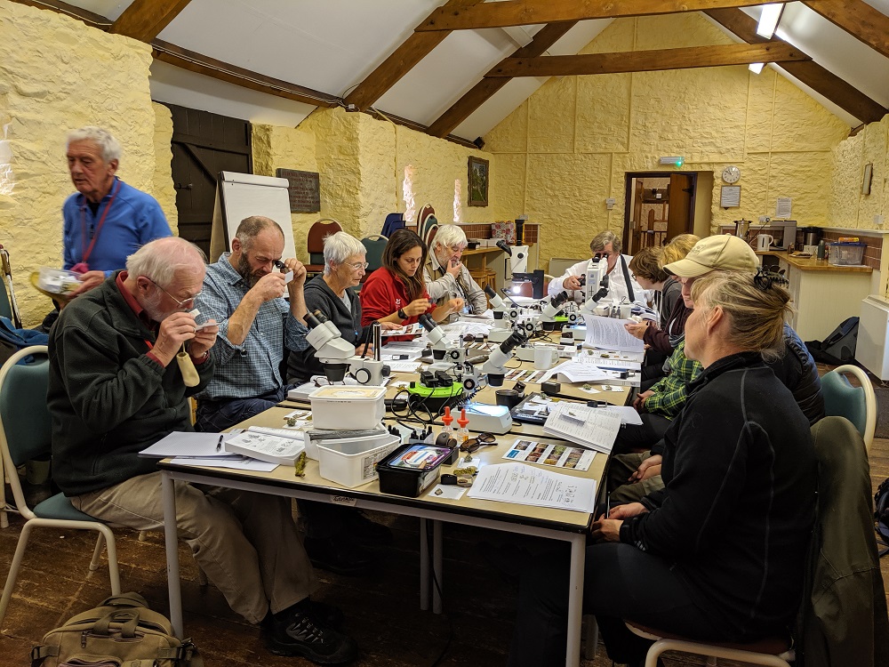 Indoor New Generation Botanist Session © Alison Smith