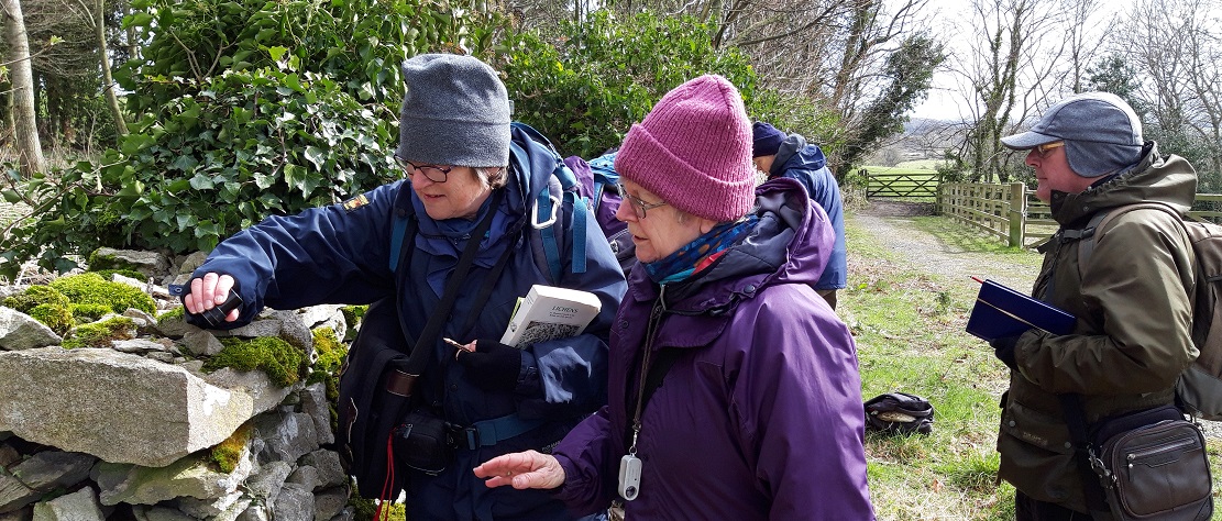 North East England lichen group