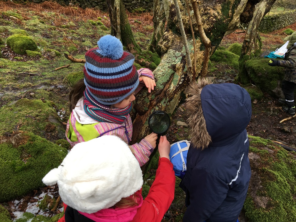 School workshop looking at lichens © April Windle