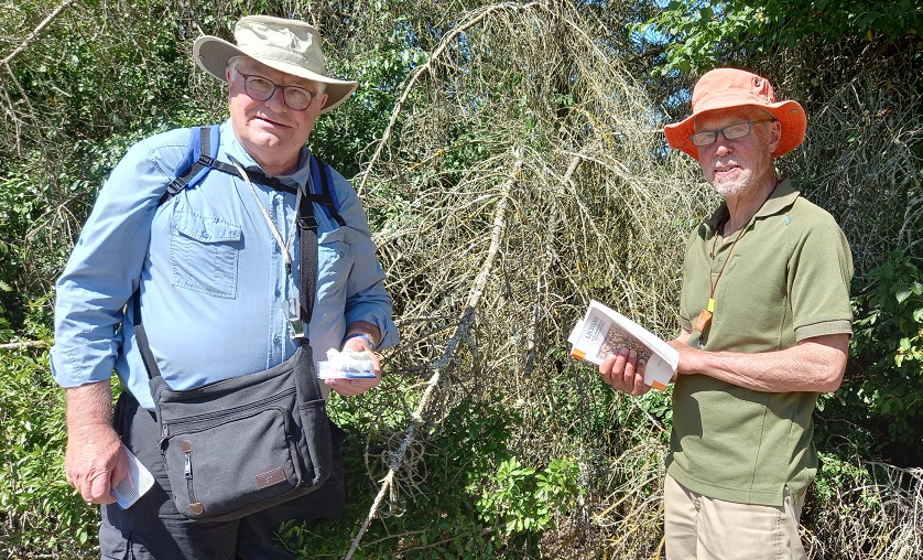 Petersfield Area Lichen Enthusiasts