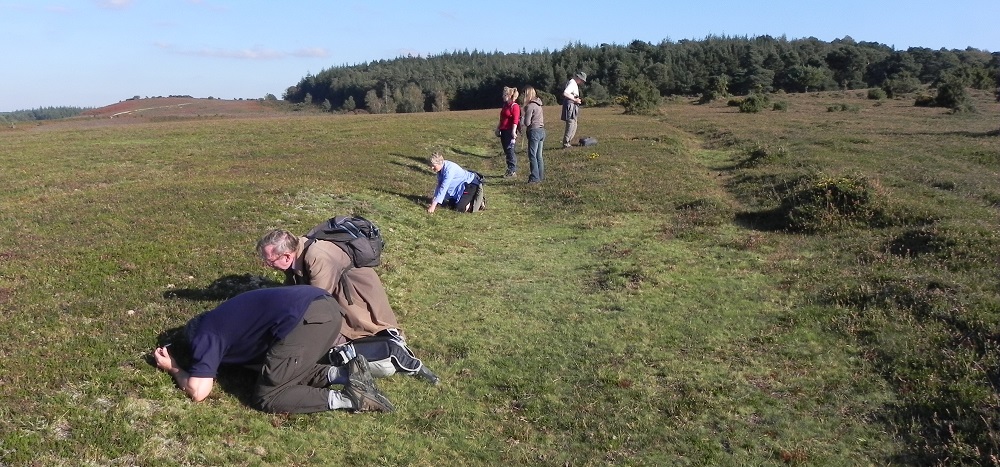 Wessex Lichen Group meet