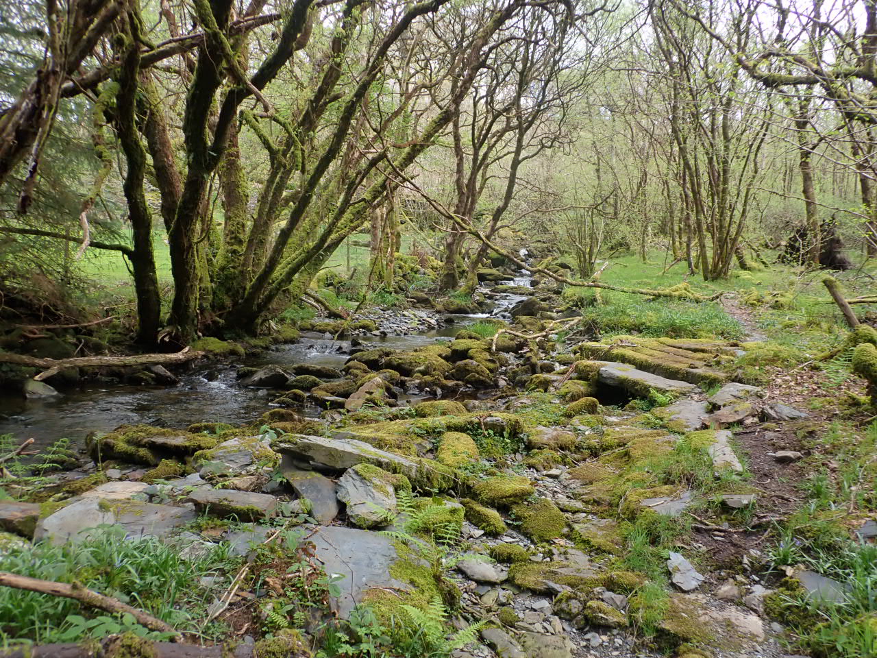 Blaenau Dolwyddelan