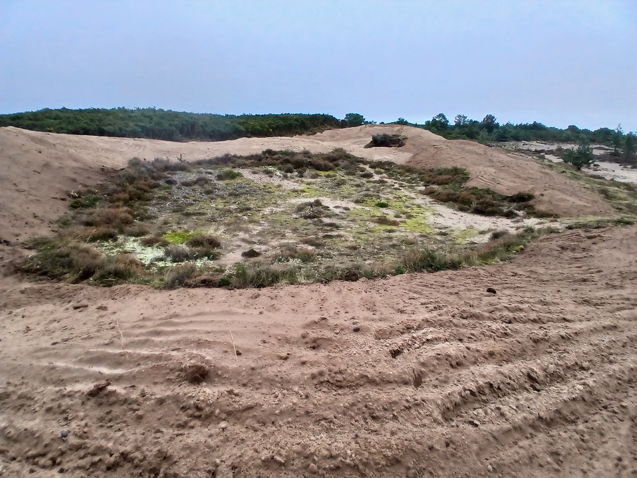 Gorse removed from around a threatened old sand blow out, on land managed by the Findhorn Hinterland Trust © Sean Reed