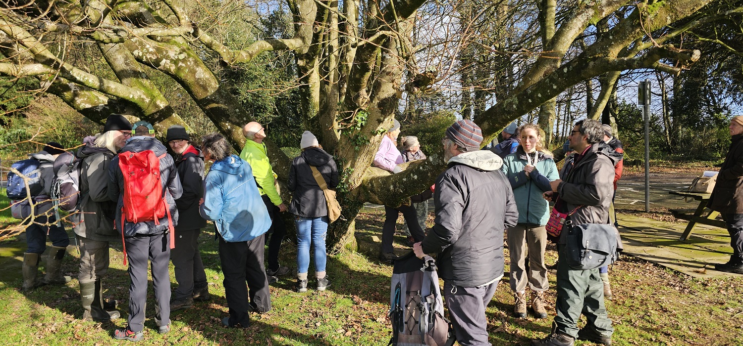Pembrokeshire & Ceredigion Lichen Group meet