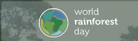 World rainforest day