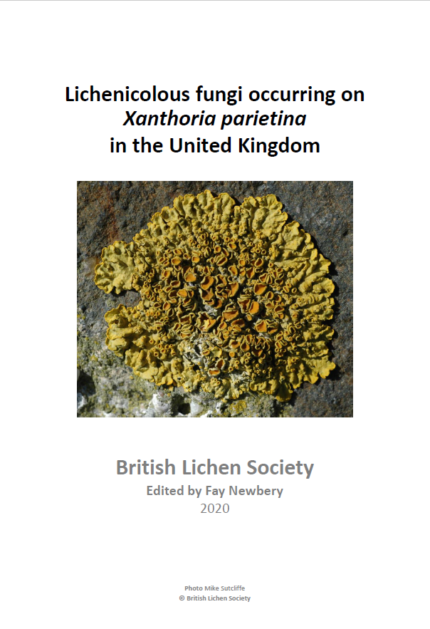 Lichenicolous fungi on Xanthoria parientina