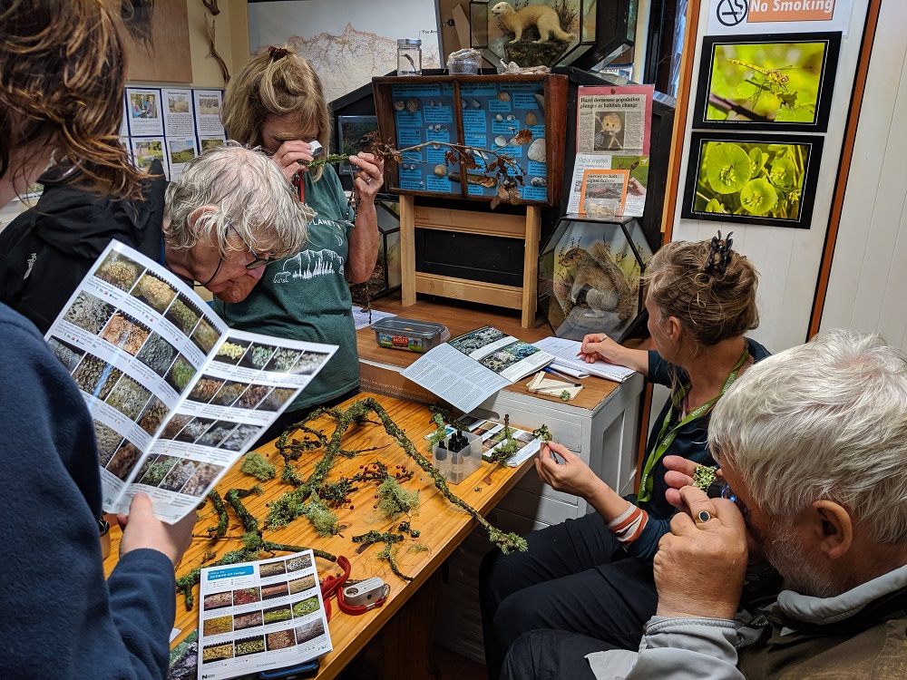 Indoor New Generation Botanist Session © Alison Smith