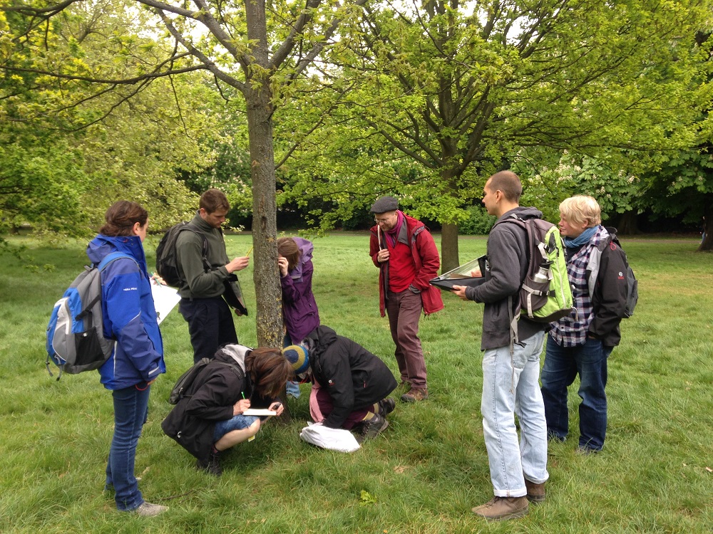 Lichen Training by Holger & Pat © April Windle