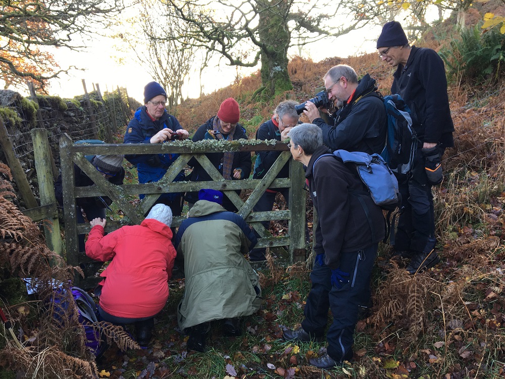 Plantlife Lichen NGB Field Day at Haweswater © April-Windle