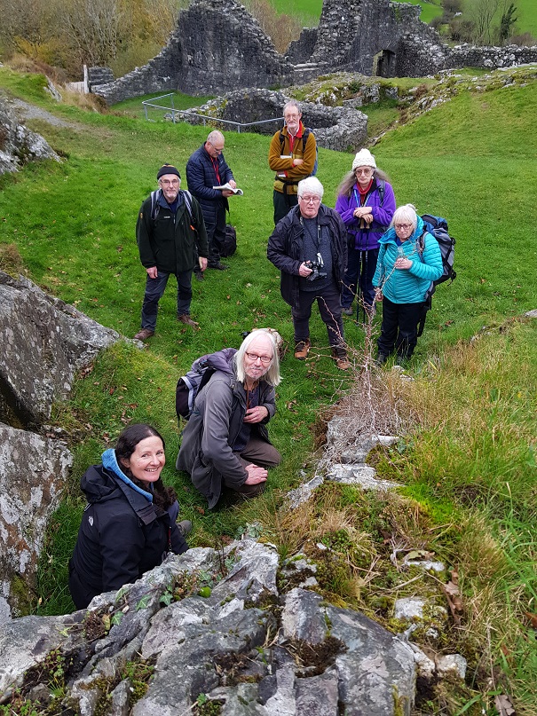 Wales Lichen Recording Group Castelly Bere