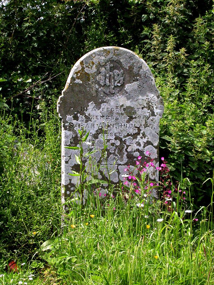 Grey and white crustose lichens on a sandstone headstone