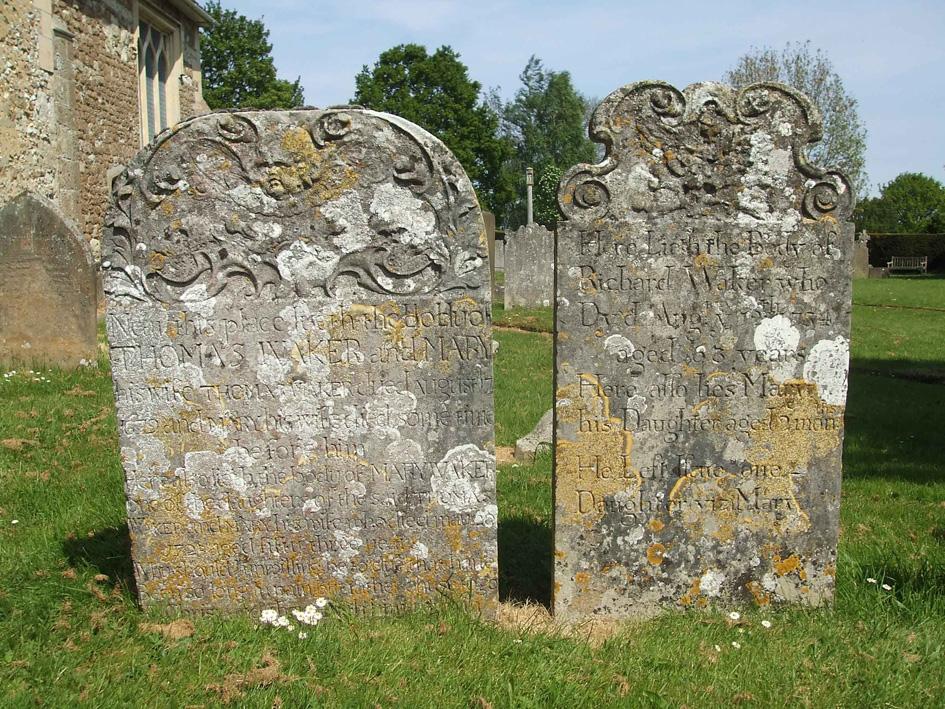 Limestone headstones with golden and grey crustose lichens