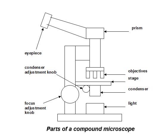 microscope