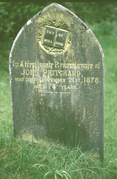 The lichen Psilolechia lucida picks out the letters on a slate headstone