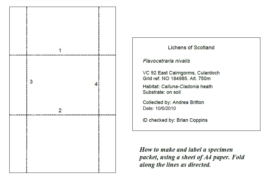 Making a specimen packet