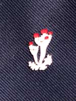 BLS Woven Tie