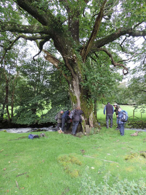 Rydal Park, Lower park