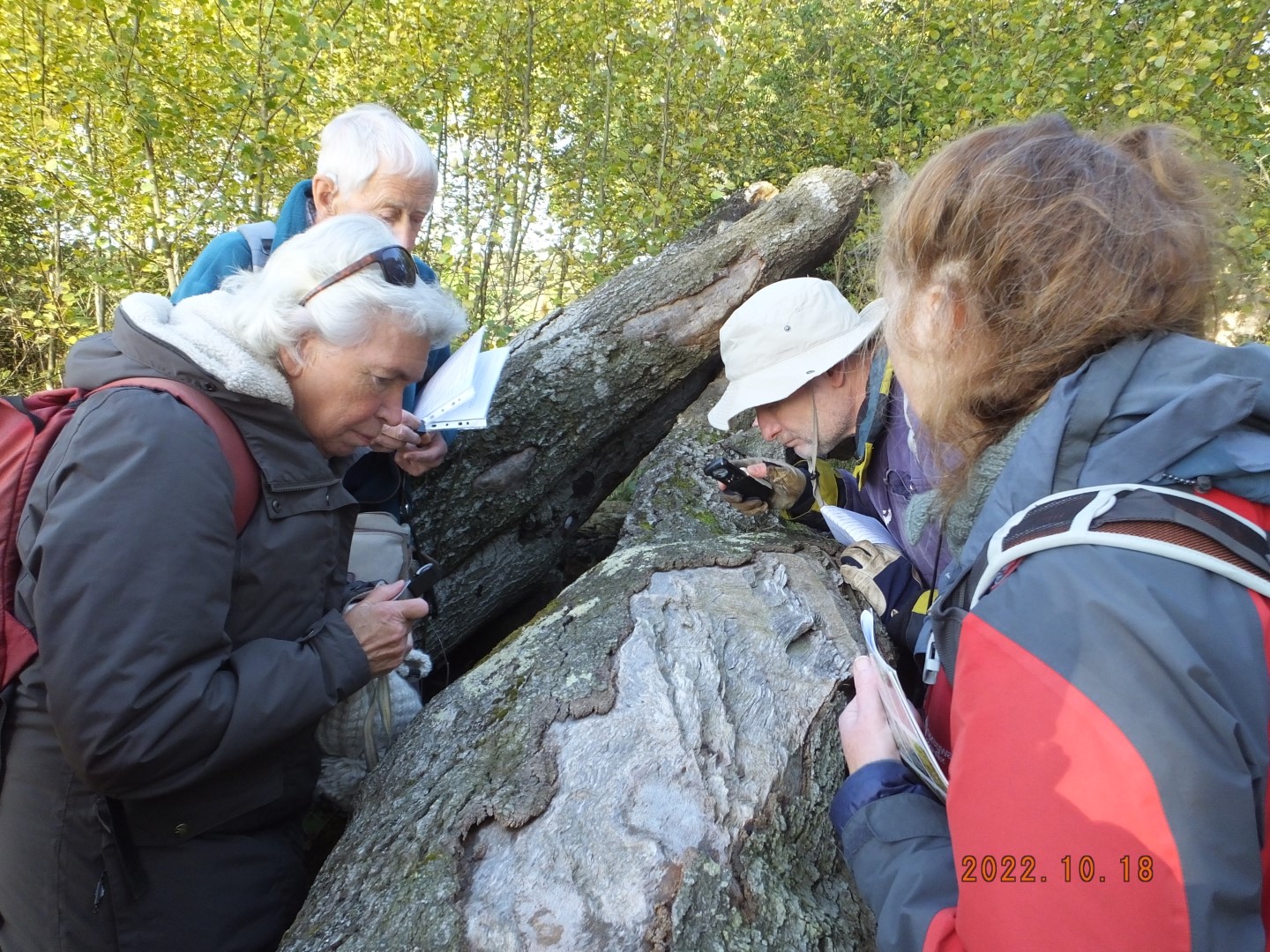  LISS visit to the East Lothian coast, at Tyninghame, October 2022