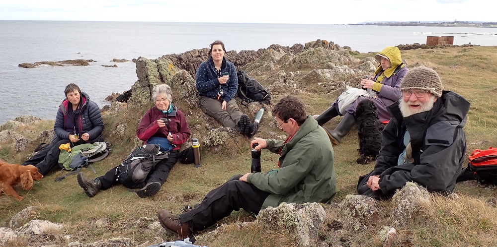 Lichens of South-West Scotland group