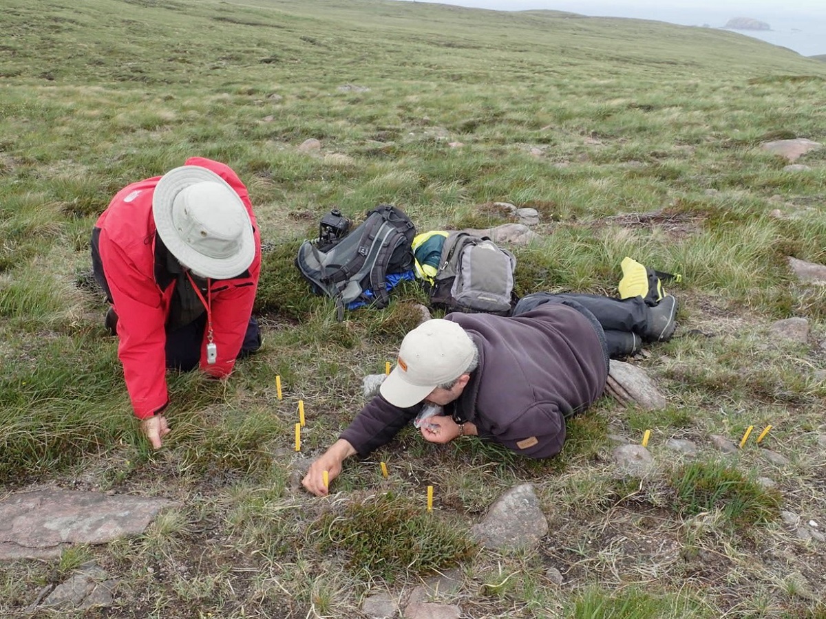 John Douglass and Paul Cannon  counting Siphula ceratites,  Sutherland LAFF 2016 (c) Heather Paul