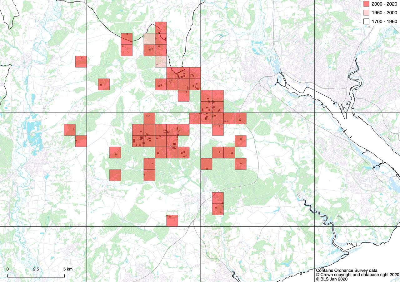 Distribution of Stictographa lentiginosa in the New Forest