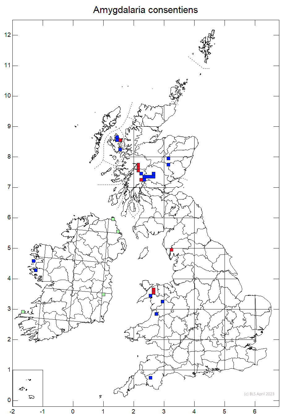 Amygdalaria consentiens 10km sq distribution map