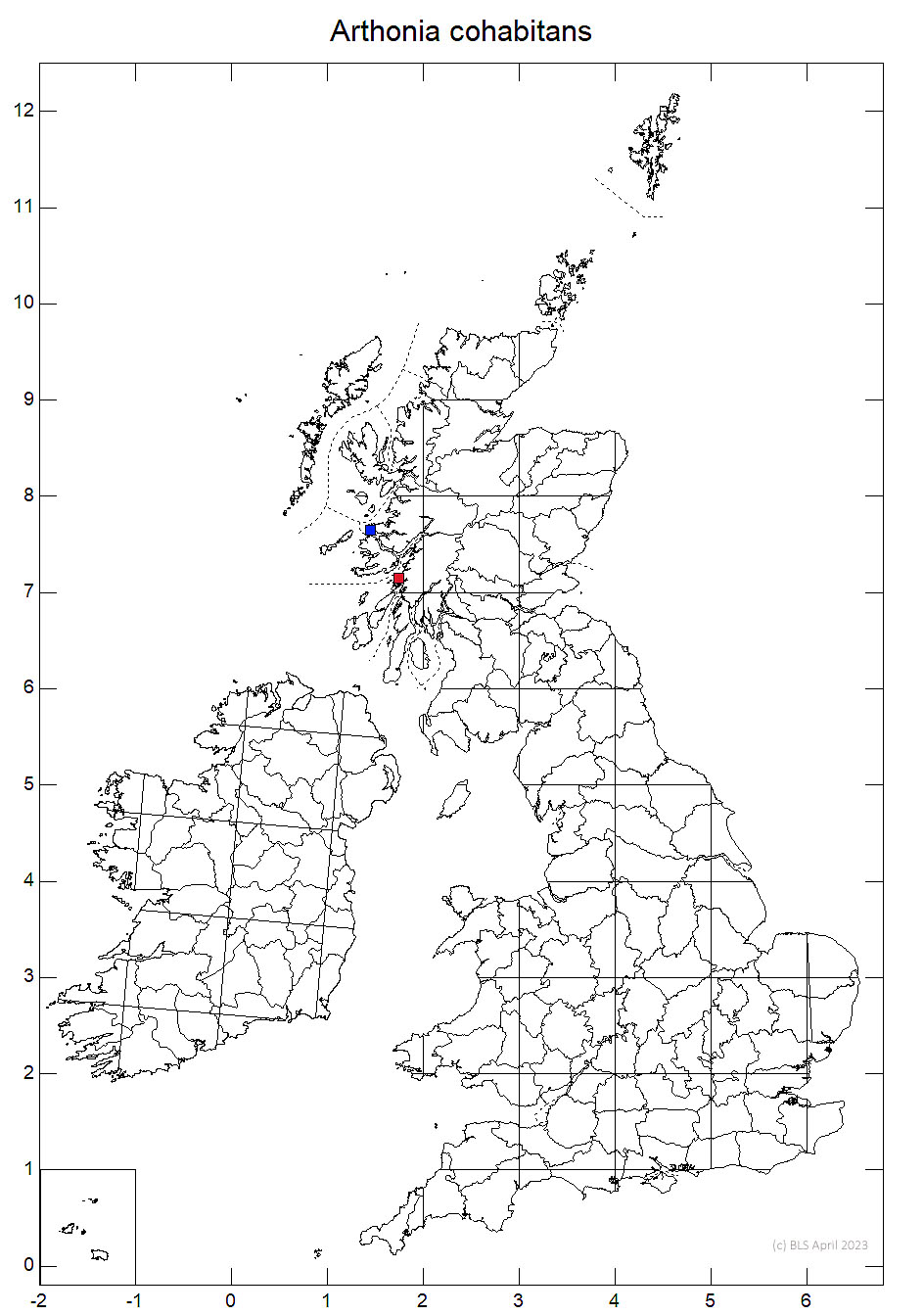 Arthonia cohabitans 10km sq distribution map