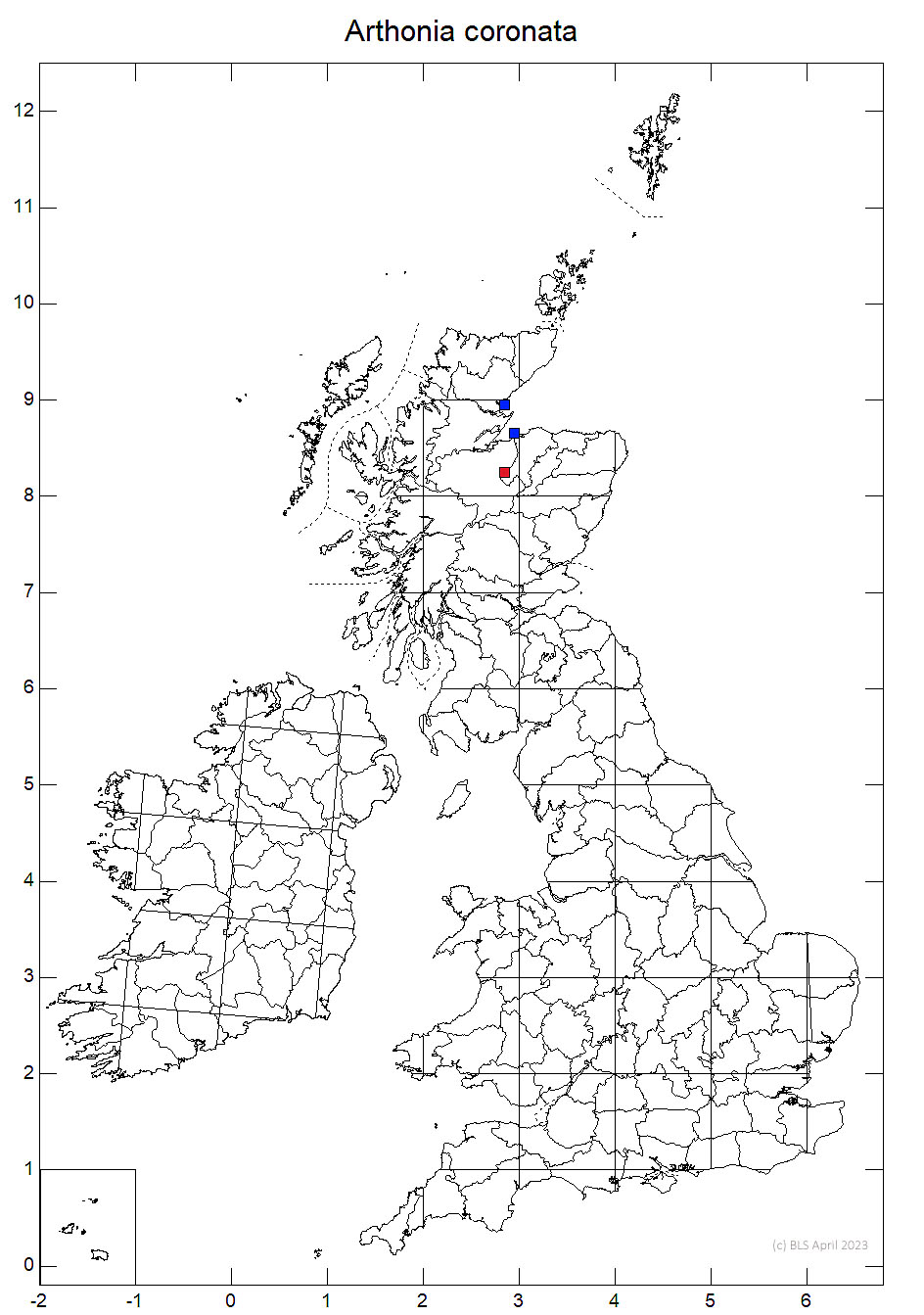 Arthonia coronata 10km sq distribution map