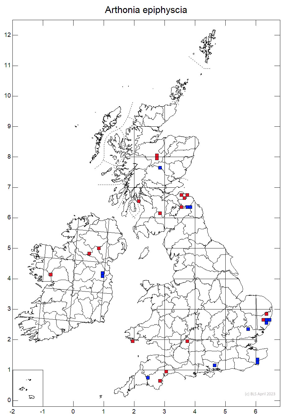 Arthonia epiphyscia 10km distribution map