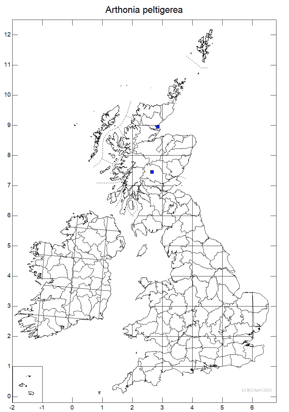 Arthonia peltigerea 10km sq distribution map