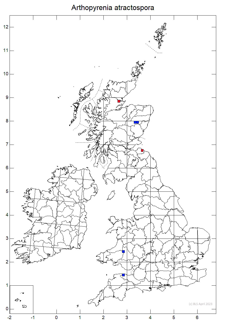Arthopyrenia atractospora 10km sq distribution map