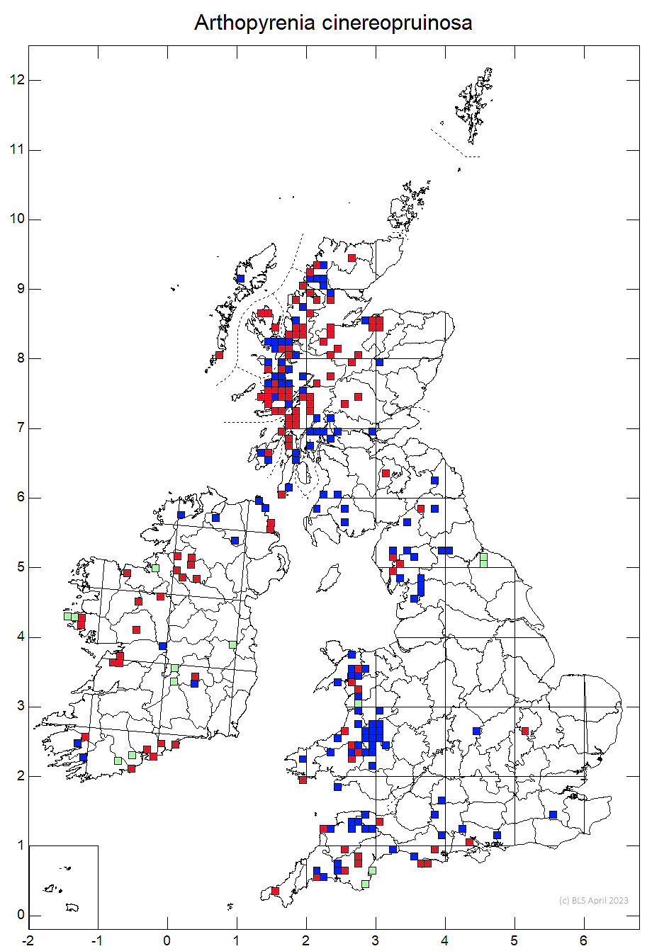 Arthopyrenia cinereopruinosa 10km sq distribution map