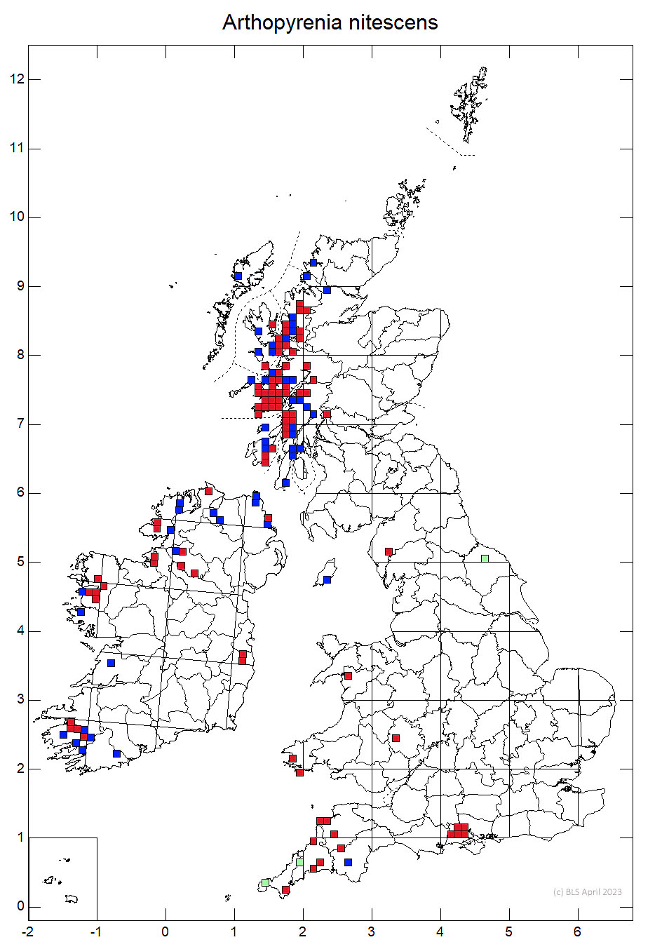 Arthopyrenia nitescens 10km sq distribution map