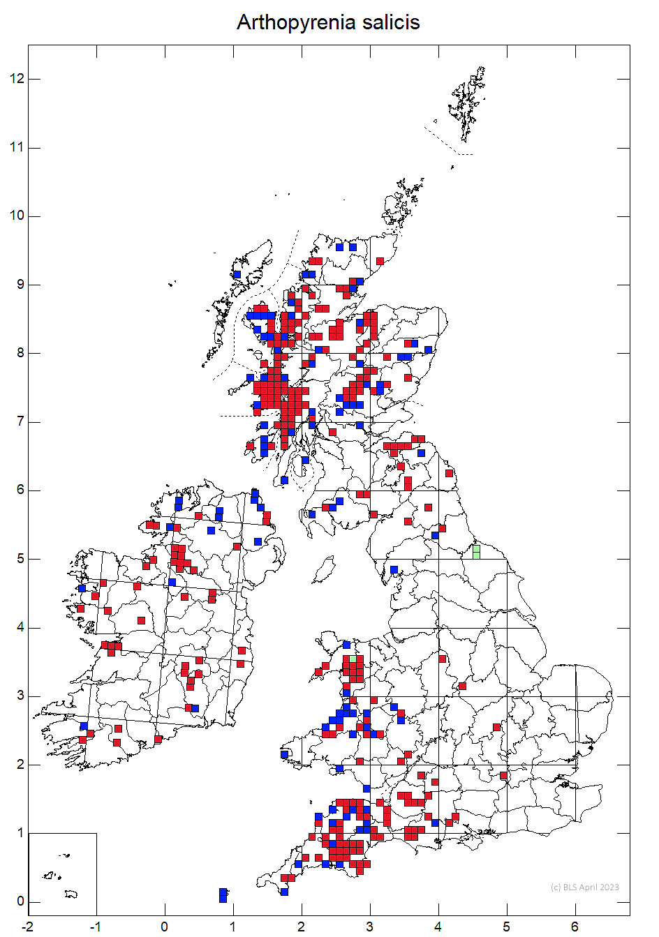 Arthopyrenia salicis 10km sq distribution map