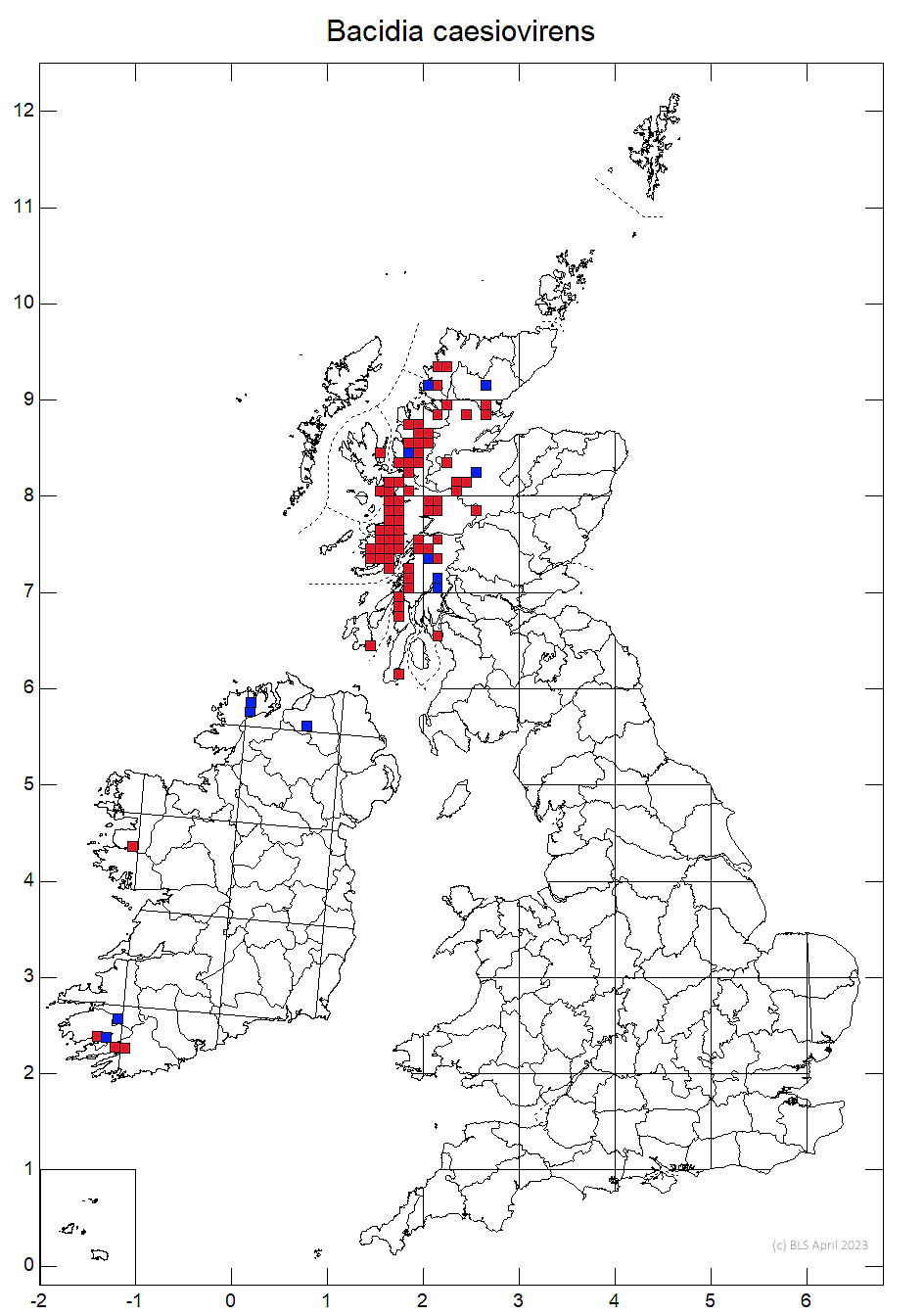 Bacidia caesiovirens 10km sq distribution map