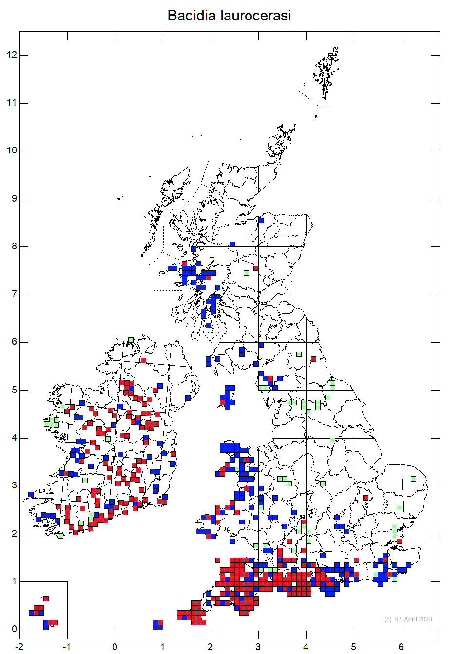 Bacidia laurocerasi 10km sq distribution map