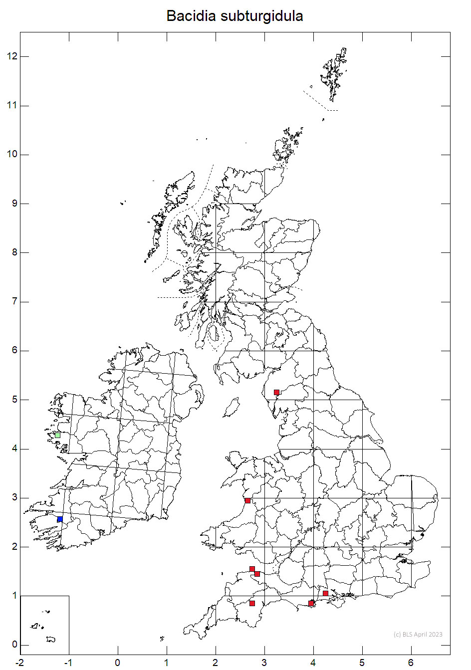 Bacidia subturgidula 10km sq distribution map