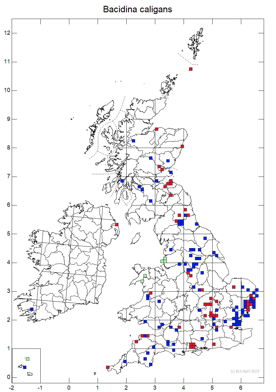 Bacidina caligans 10km distribution map