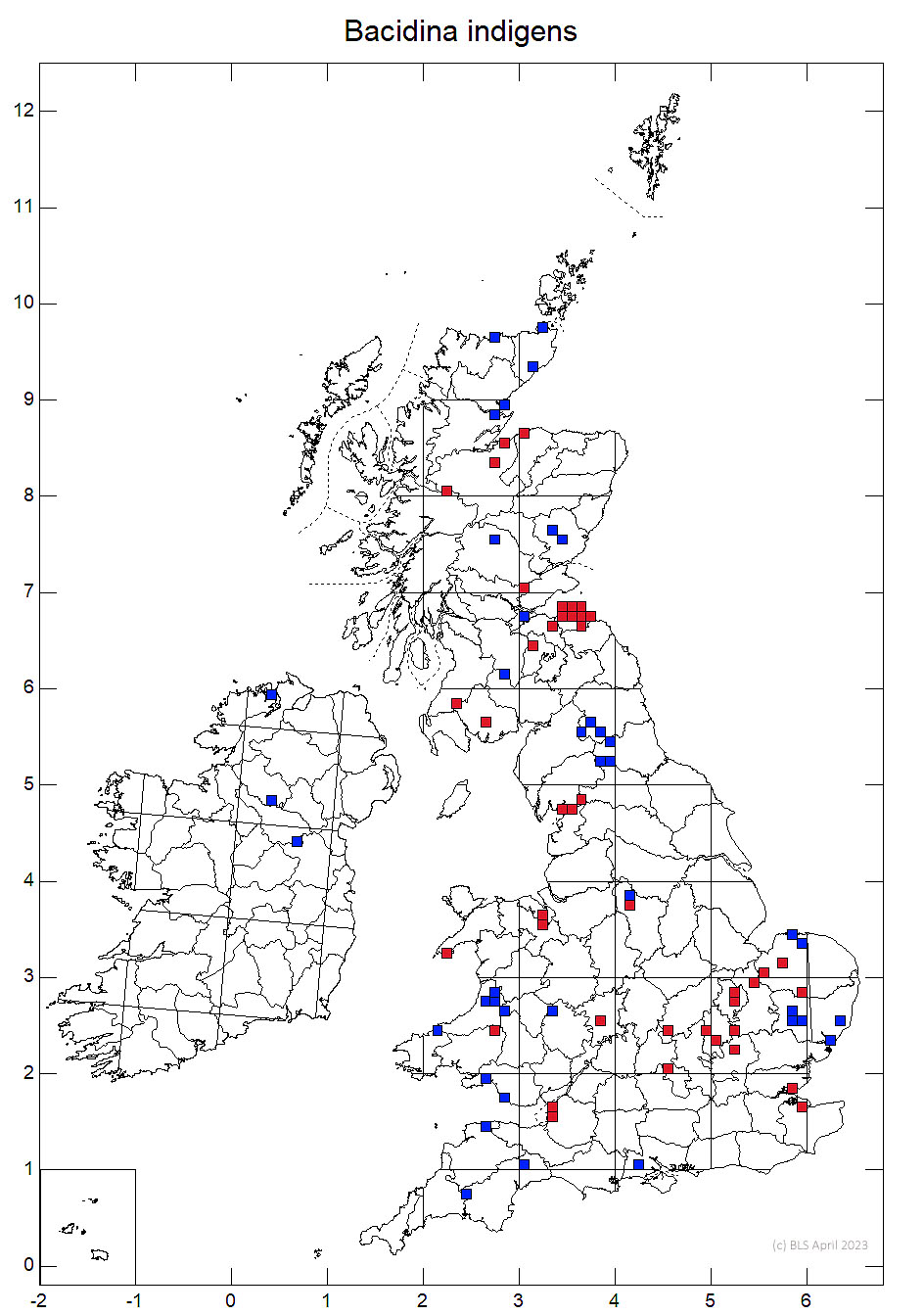 Bacidina indigens 10km distribution map