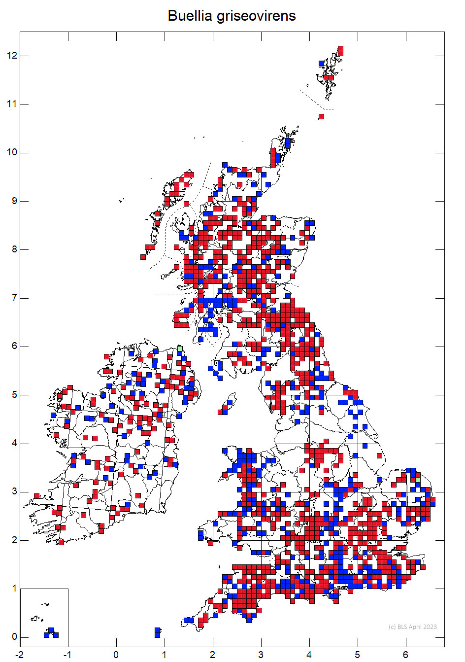 Buellia griseovirens 10km sq distribution map