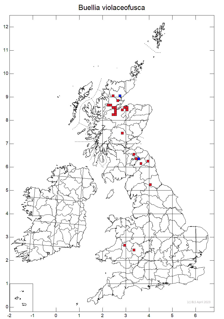 Buellia violaceofusca 10km sq distribution map