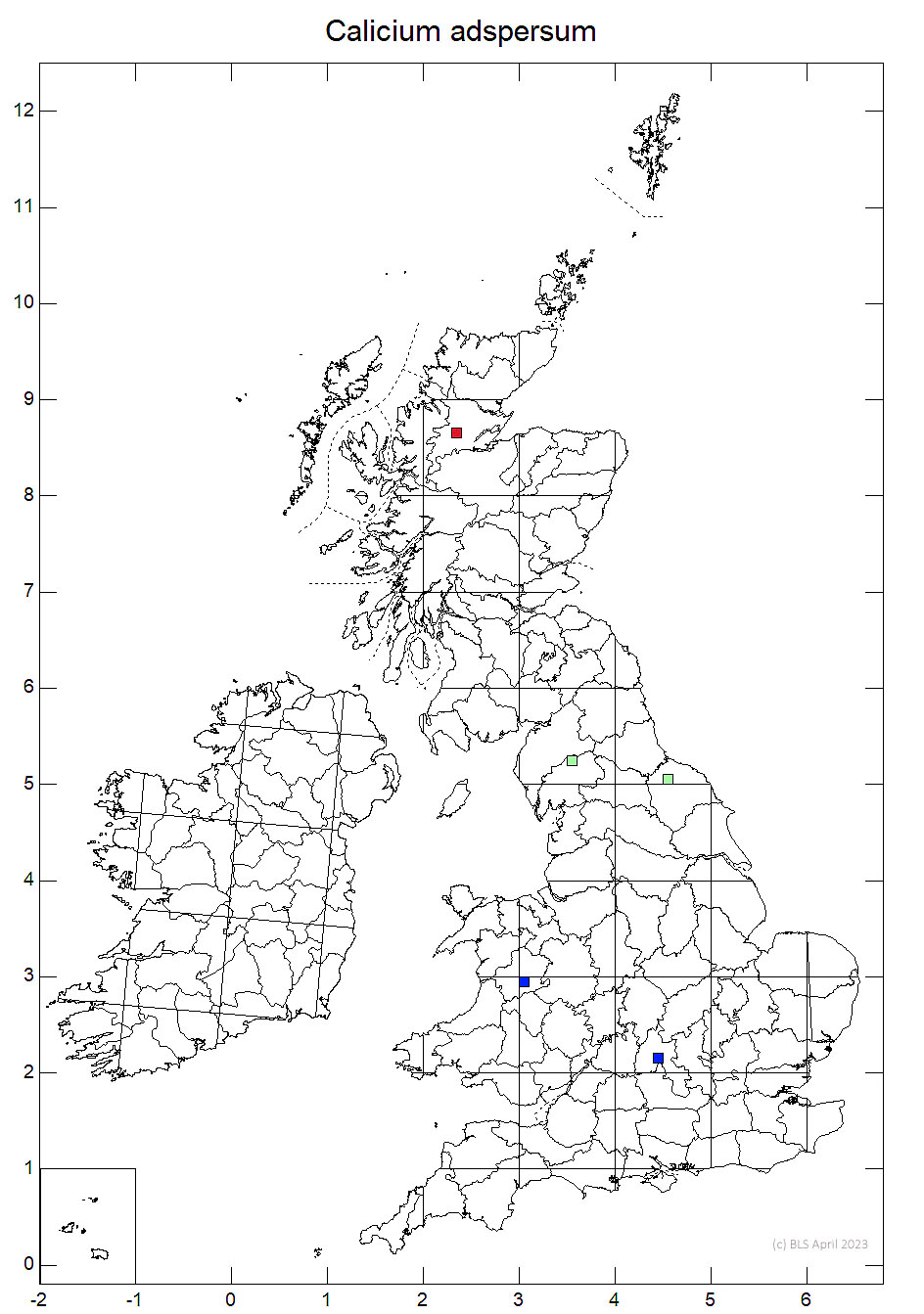 Calicium adspersum 10km sq distribution map