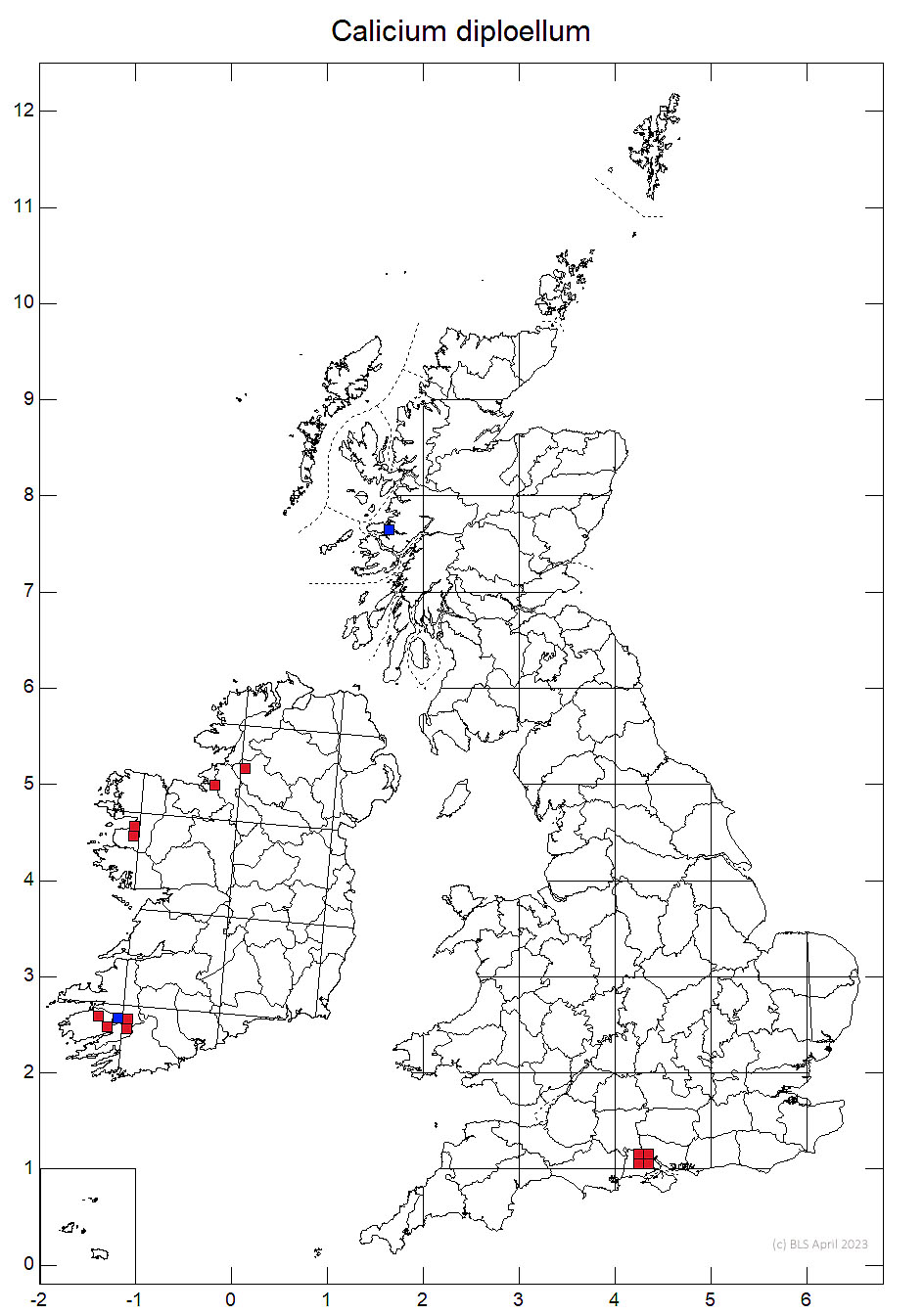 Calicium diploellum 10km sq distribution map