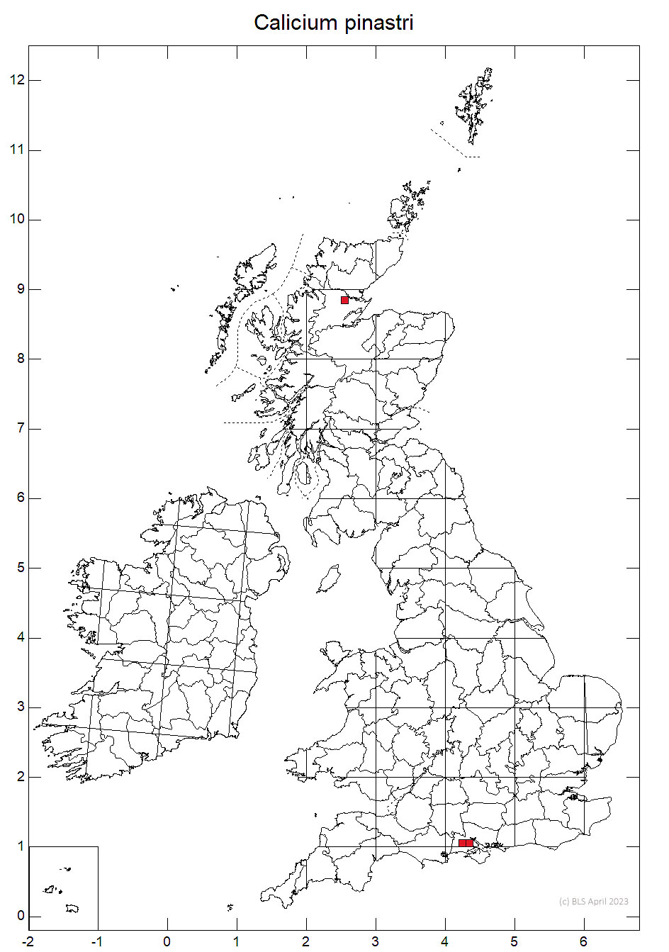 Calicium pinastri 10km distribution map