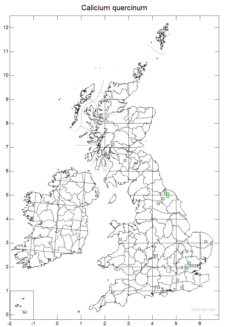 Calicium quercinum 10km sq distribution map