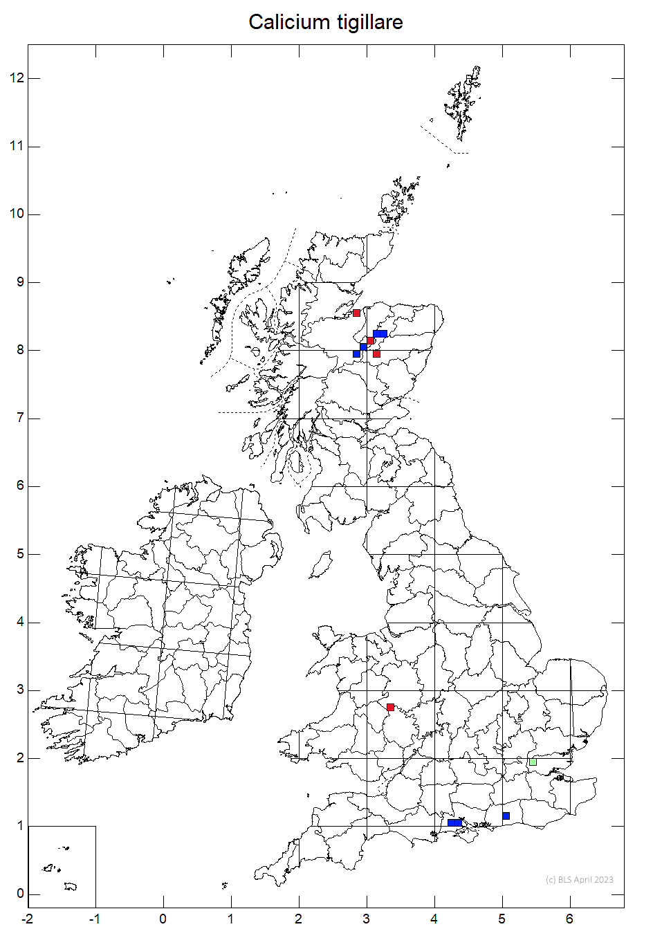 Calicium tigillare 10km distribution map